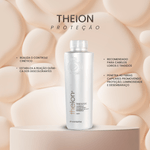 THEION---PASSO-1.png