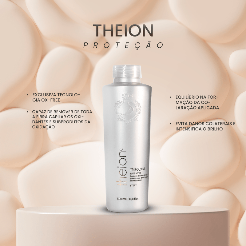 THEION - PASSO 2.png